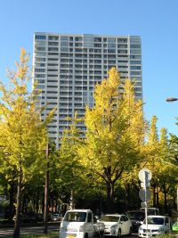 グランドメゾン京町堀タワー